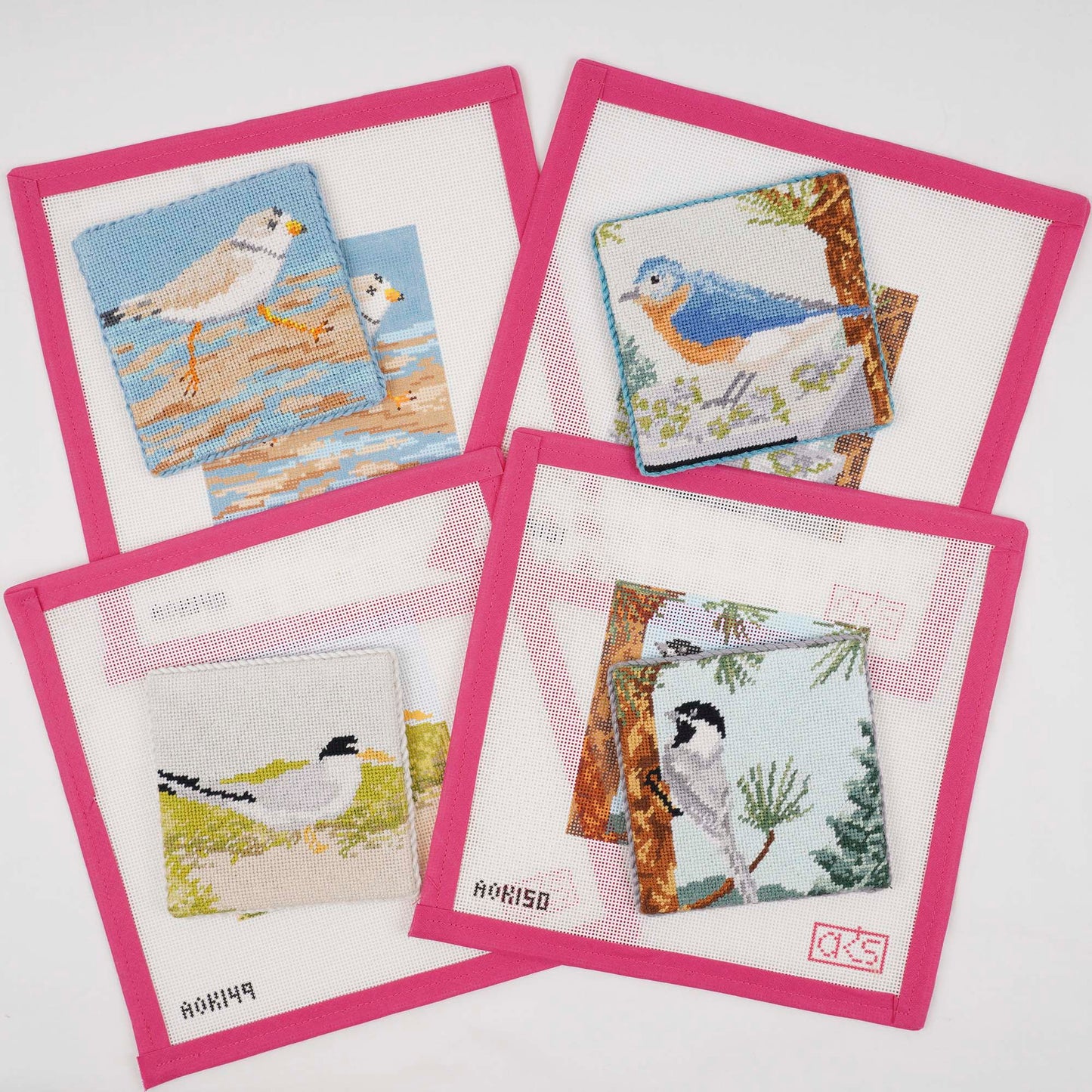 Eastern Bluebird Coaster