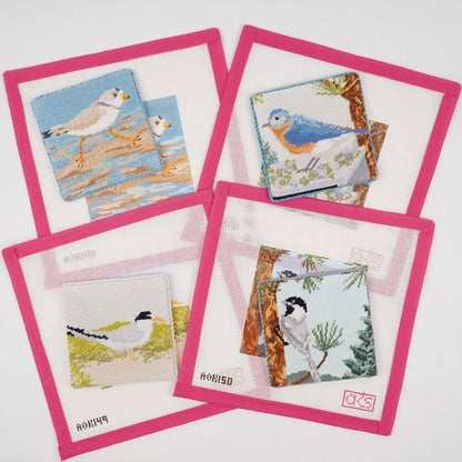 Eastern Bluebird Coaster