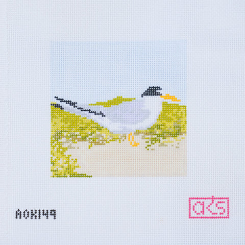 Least Tern Coaster