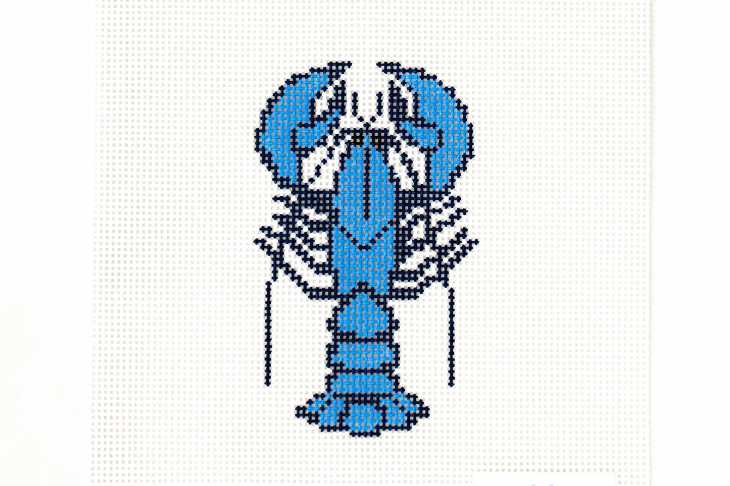 Blue Lobster on 13 mesh