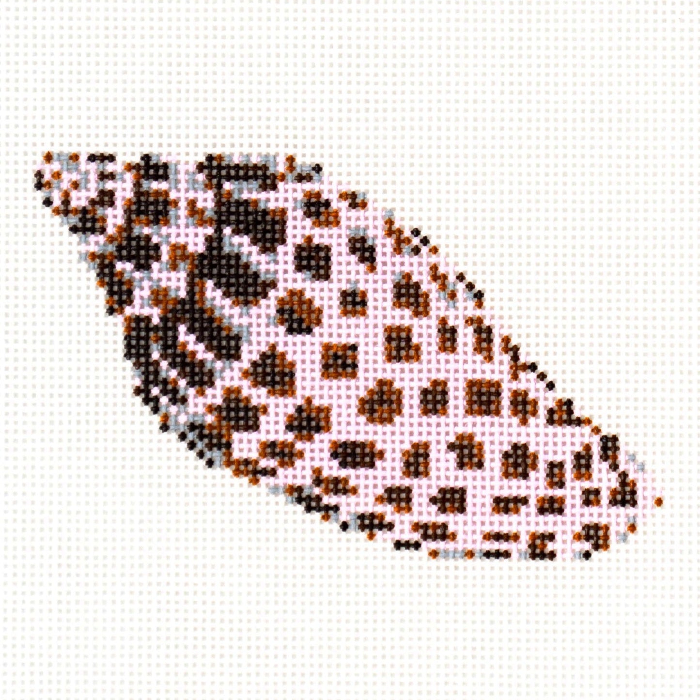 Junonia Shell