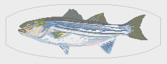 Striped Bass Cummerbund