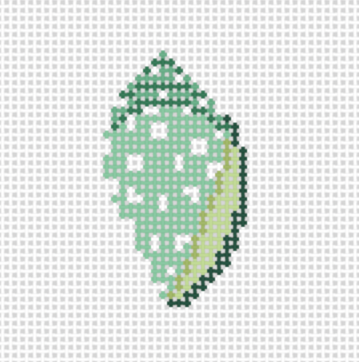 Tiny Green Cone Shell