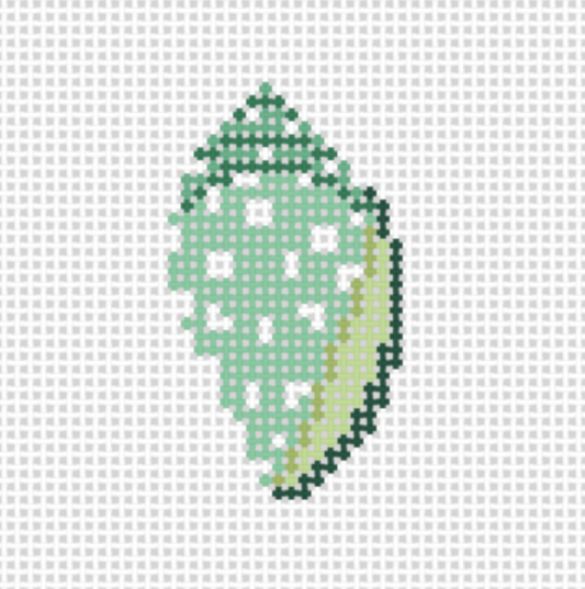 Tiny Green Cone Shell
