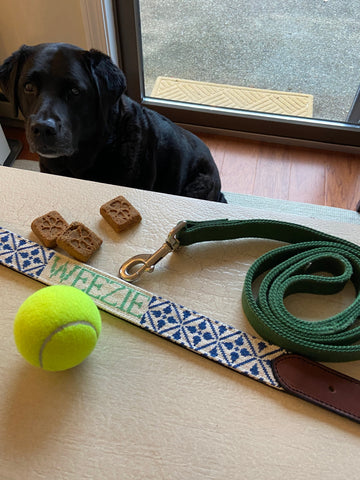 CUSTOMIZE YOUR DOG COLLAR